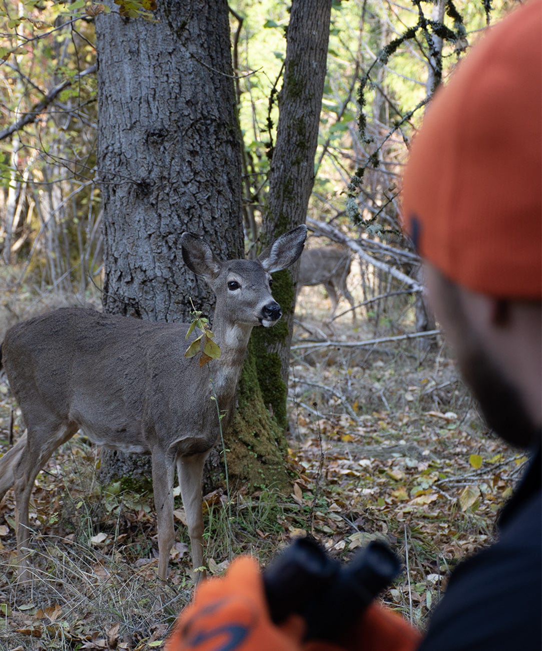 Cross Point Waterproof Beanie