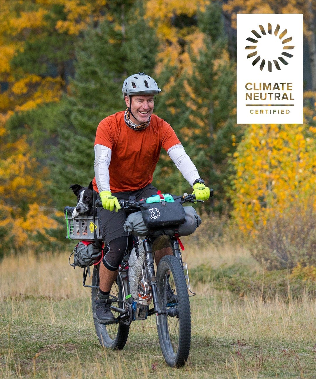 Cross Point Knit Waterproof Gloves