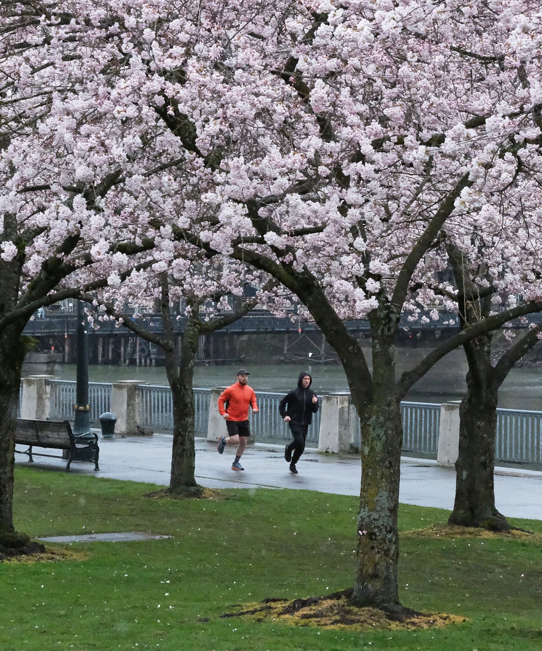 Ultralight Wind Jacket