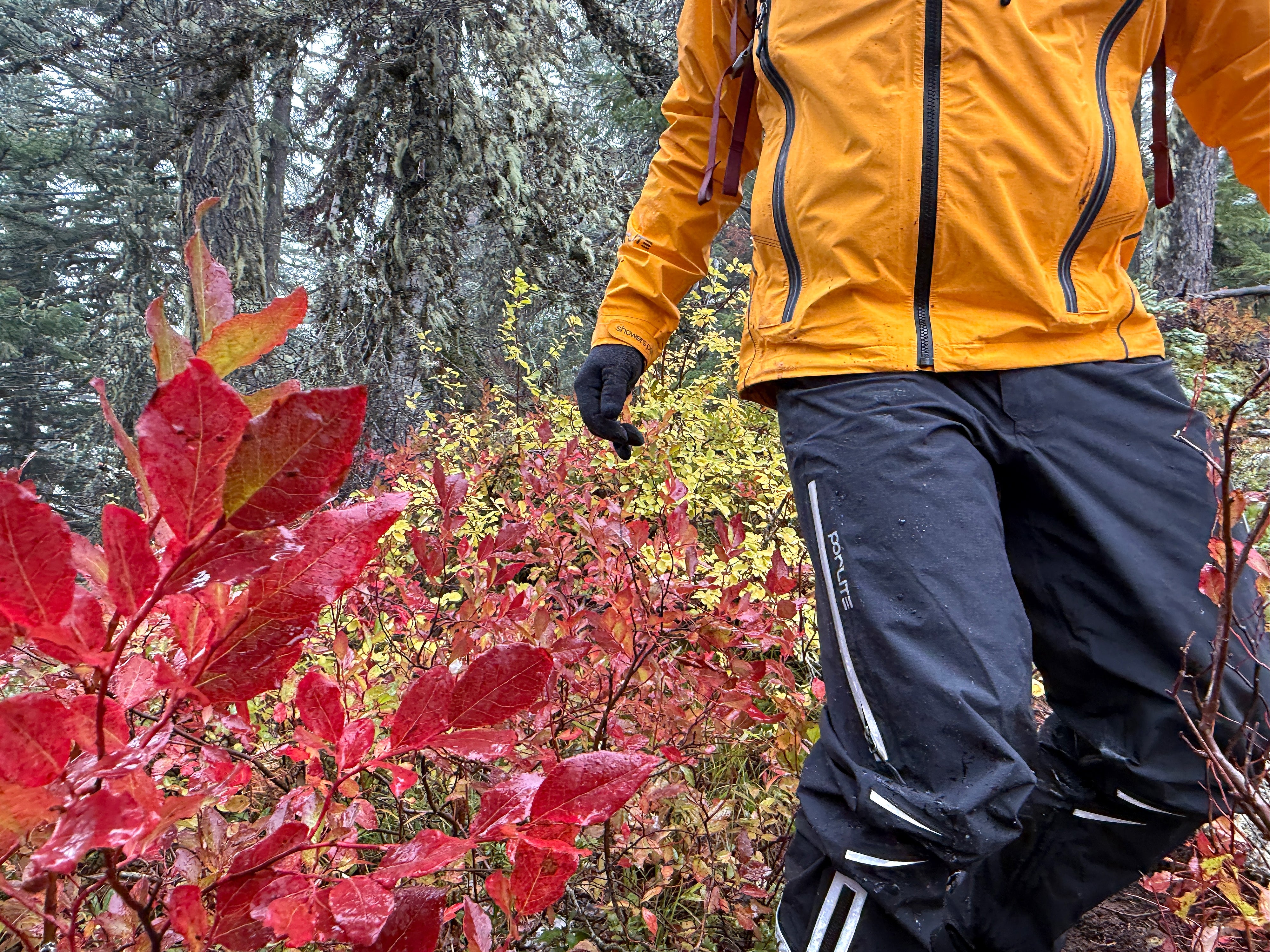 A person wearing Showers Pass PORLITE Refuge Jacket and Pants in forest.